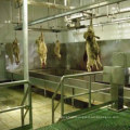 Farm Use Turnkey Sheep Goat Slaughter Machine Butcher′s Tools